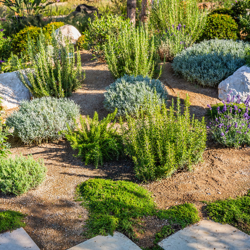home exterior plants with rocks and mulch